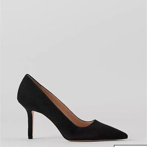 Ann Taylor “Mae Suede Pump”